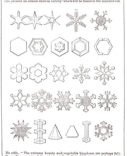 Snow Flakes