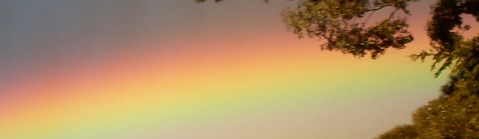 The Rainbow Speaks